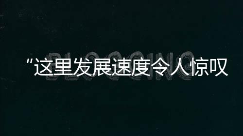 “这里发展速度令人惊叹！”意大利总统打卡广州新中轴线丨视频